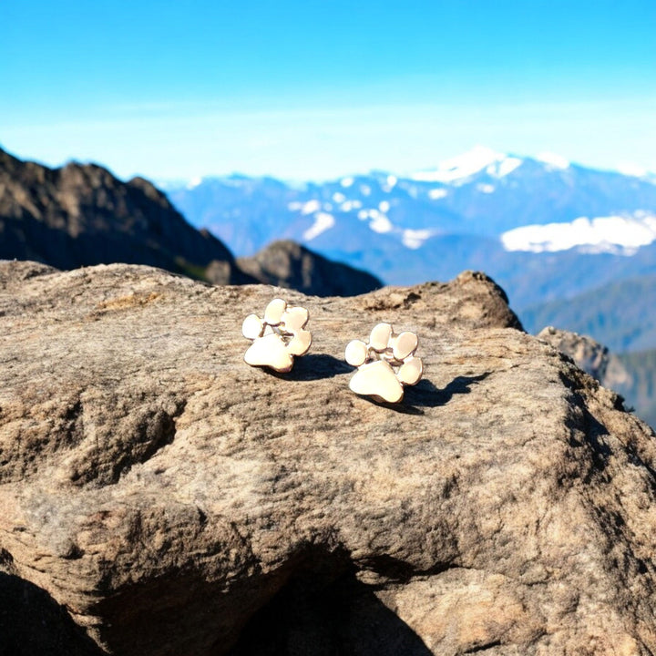 Pendientes hipoalergénicos con huella